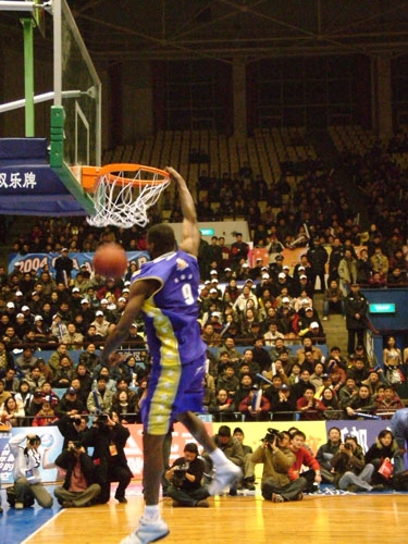 的坦帕湾海 的坦帕湾海